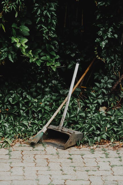 A black wheeled garden waste bin positioned on a grassy outdoor area, filled with cut plant material including dried grasses, leafy green branches, and other garden debris. Surrounding the bin are lus